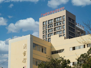 广西尊龙凯时人生就是博技术学院2024年普通高考招生章程